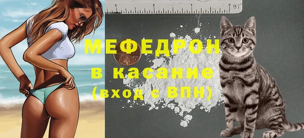 стаф Богородицк
