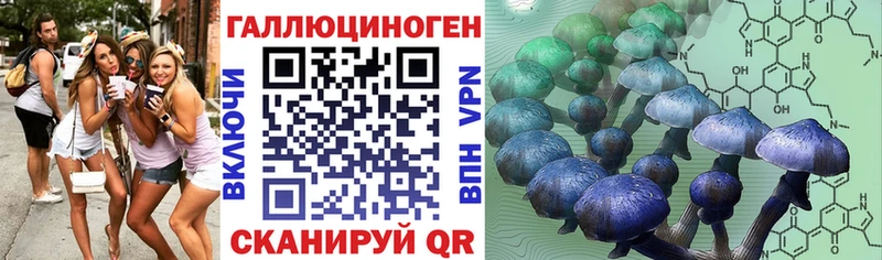 Галлюциногенные грибы прущие грибы Новосокольники