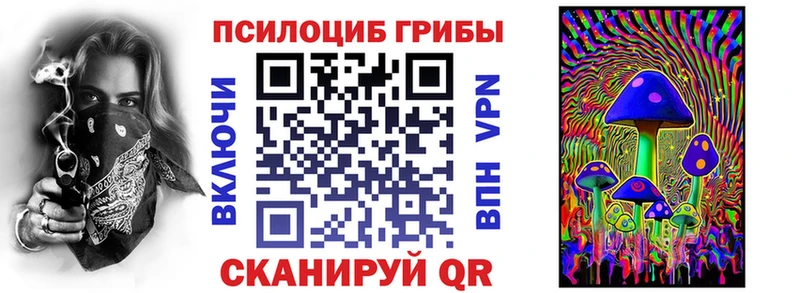 купить наркотики сайты  Новосокольники  Псилоцибиновые грибы мицелий 